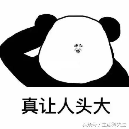 深圳拍照圣地推荐,拍照圣地深圳风景