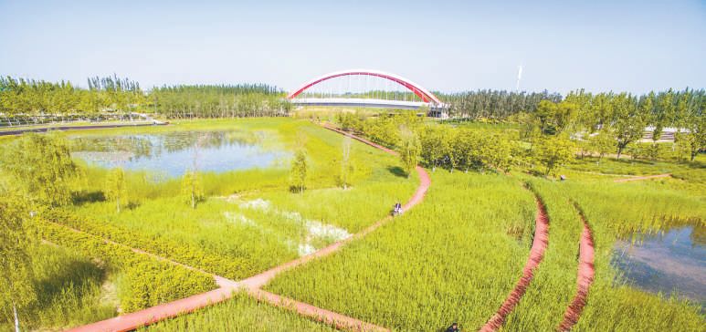 西源汇·创业项目丨欧卡“小型水面清洁船”项目