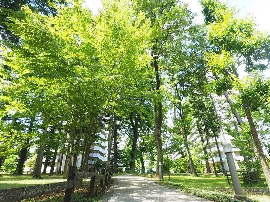 第四消费时代解读日本,日本第四消费时代的解析