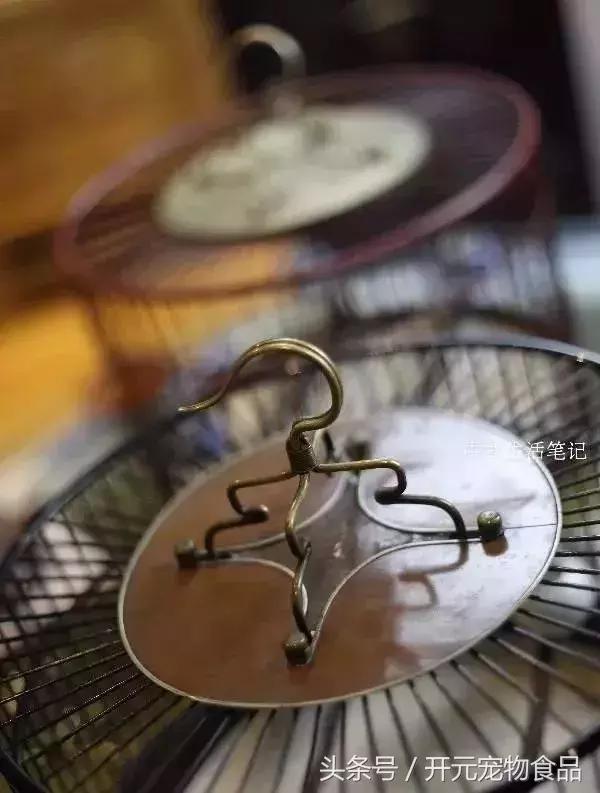 提笼架鸟什么意思,提笼架鸟