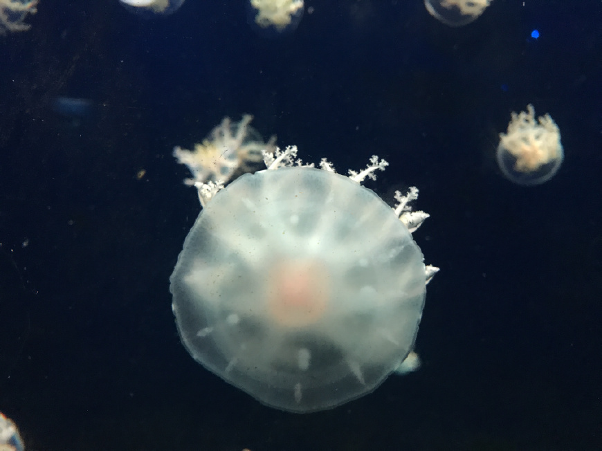 这个夏天带上ta来场浪漫的旅行,带上心爱的ta来一次浪漫之旅