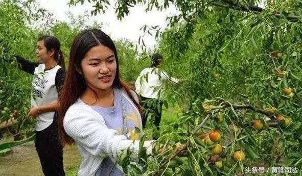 沧州哪些地方比较美,沧州啥时候变这么美了