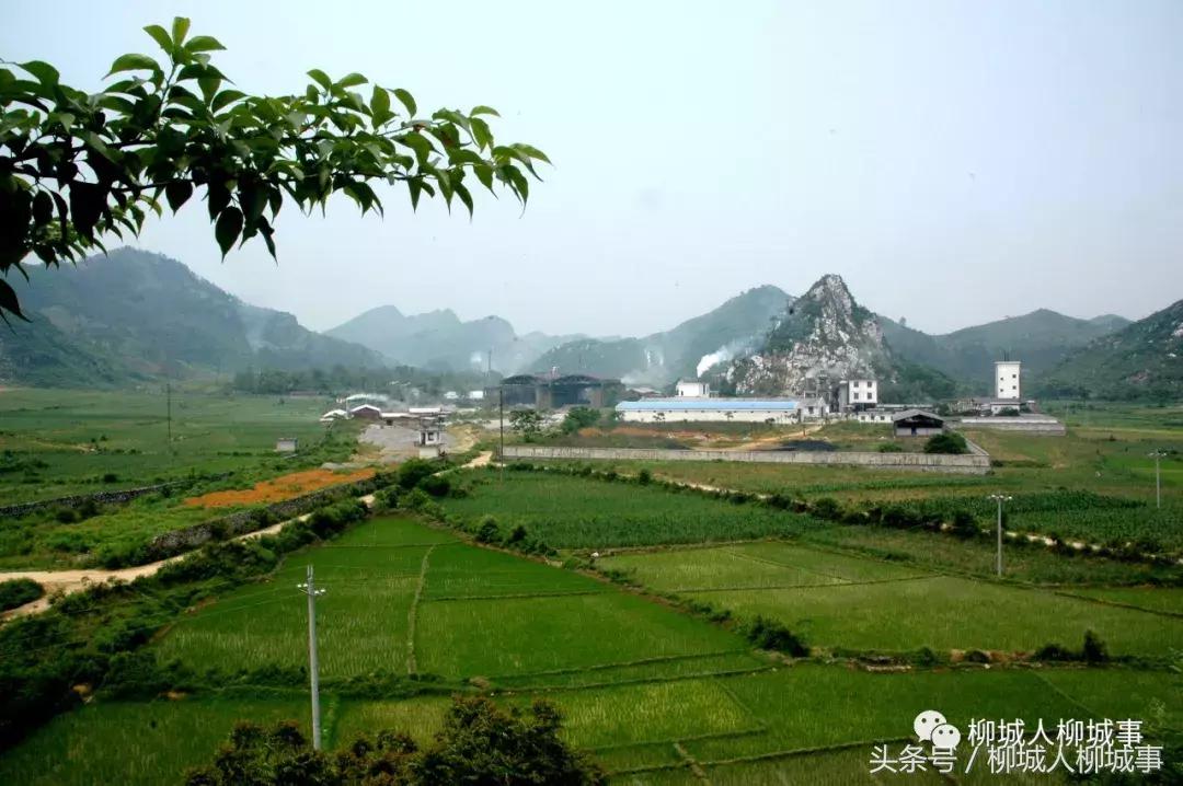 「探秘柳城」扒一扒这里是怎么由荒地变成“凤凰窝”……