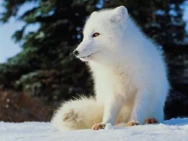 端午游玩攻略儿童水世界,亲子游玩水世界