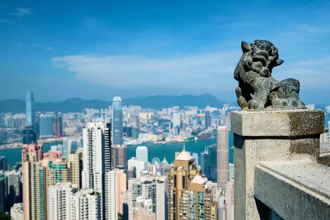 郑州坐高铁去香港票价,郑州坐高铁到香港需要什么流程