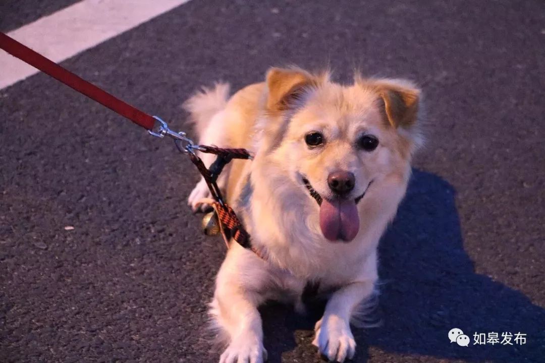 嗨起来！谁再抱怨如皋没有夜生活，你就把这个丢给TA～