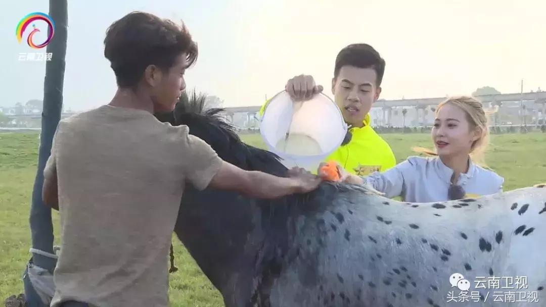 双胞胎潇洒骑马,双胞胎骑行川藏线