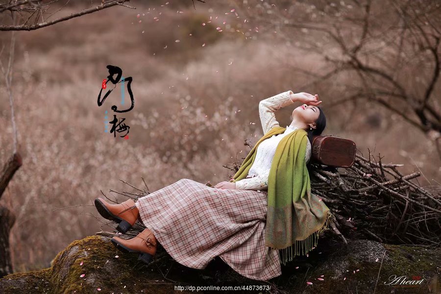 经典散文梦里花落知多少,花落知多少的情感句子摘抄