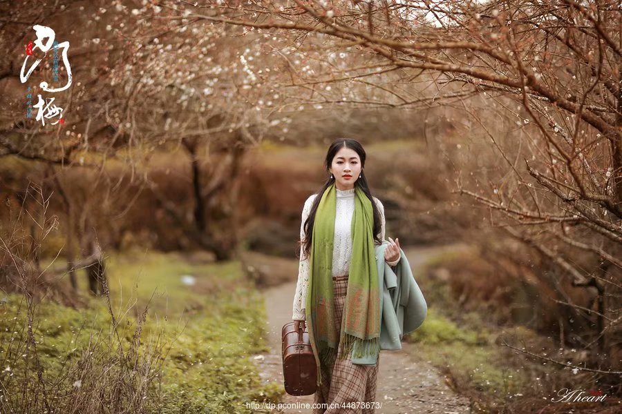 经典散文梦里花落知多少,花落知多少的情感句子摘抄