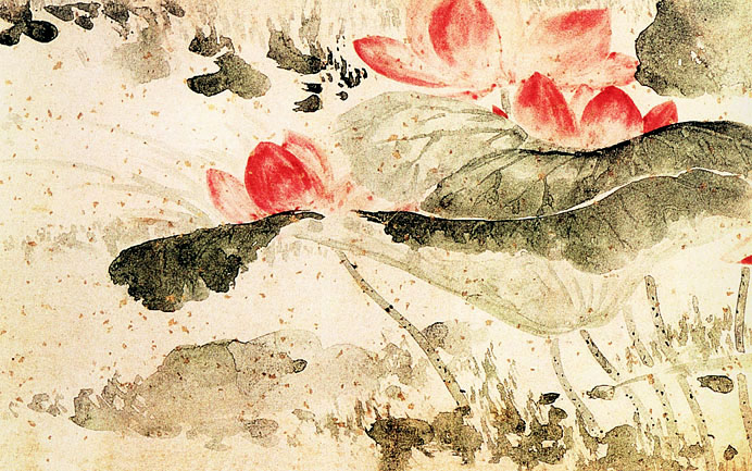 「转」这么美的荷花,千年荷韵