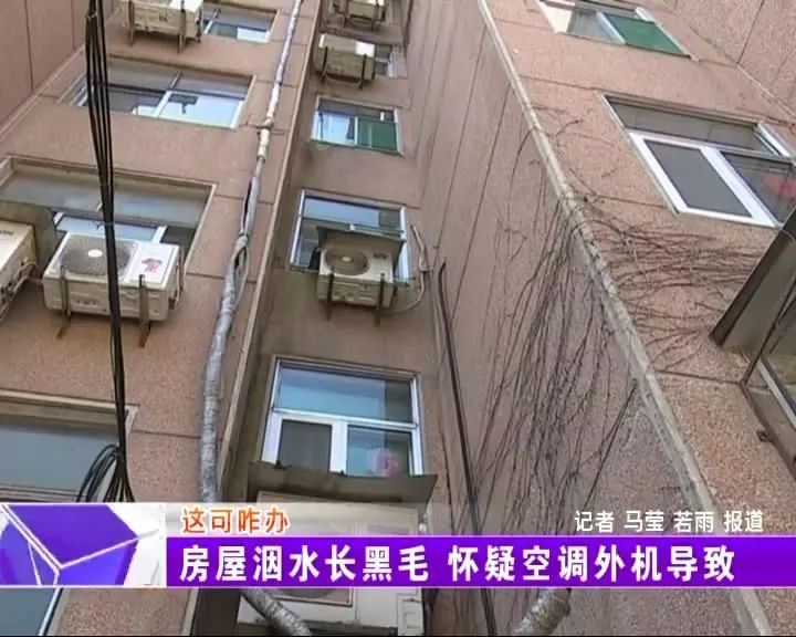 屋里长了白毛是怎么回事,屋里有黑毛是什么原因