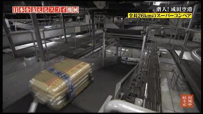 日本航空搬运行李箱,日本机场行李箱搬运