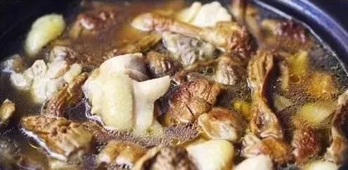 「周末去哪玩」上山捡菌乐无穷美味山珍饱口福