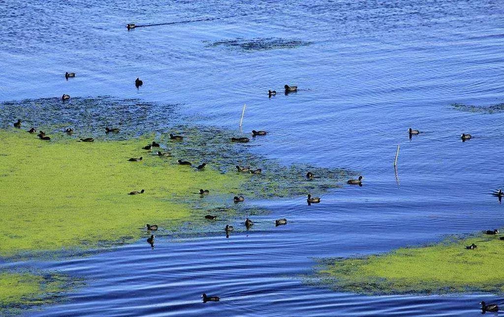 江南气息的小镇,江南小镇意境