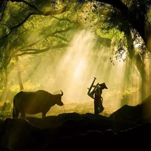 山歌文化传统音乐,山歌贵州纯音乐