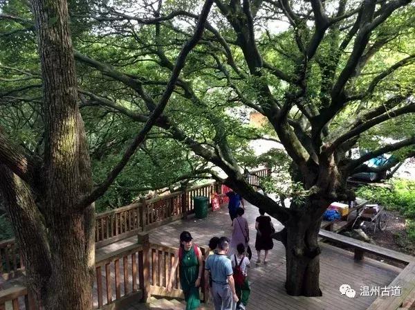 鹿西岛景区图,鹿西岛旅游攻略礁石拍照