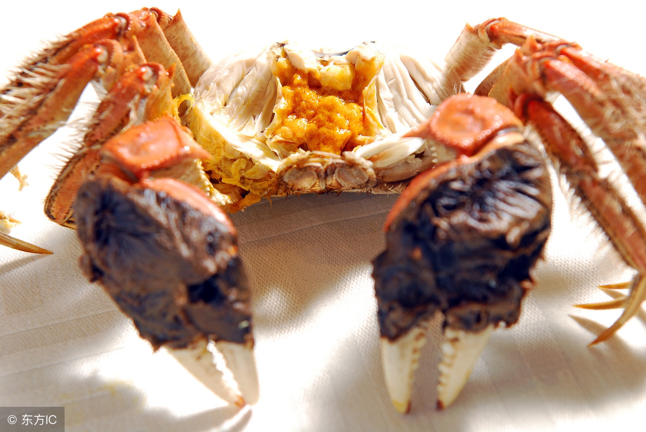 阳澄湖大闸蟹价格表今年螃蟹价格,阳澄湖大闸蟹什么时候上市及价格