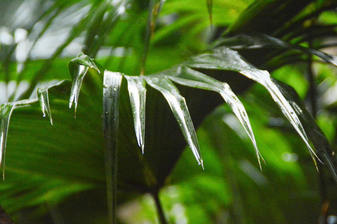 与闺蜜在三亚悠闲的小度假