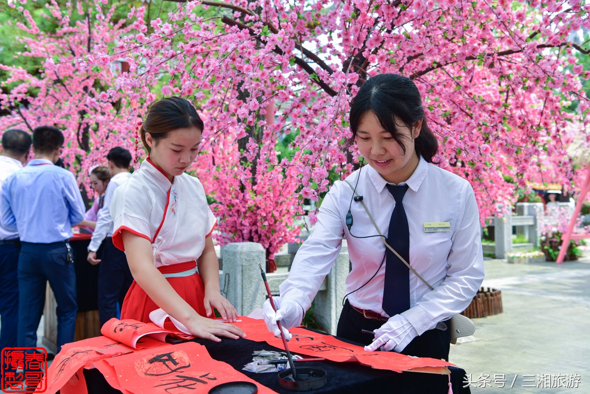 株洲方特景区门票,株洲方特景区门票多少