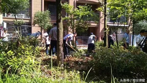 小区里绿地种菜怎么管理,怎么制止小区里种菜的