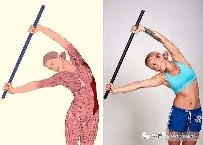 健身拉伸小技巧视频,健身拉伸的15个拉伸动作