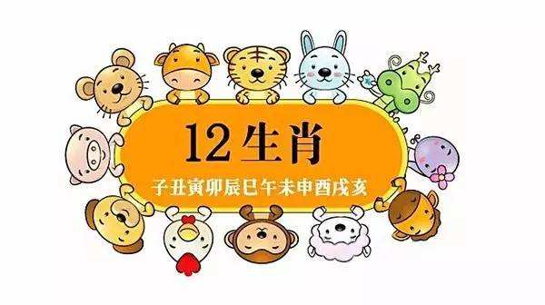 生肖兔红鸾星天喜星,生肖运势8月份