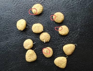 你不知道狗粮的那些事,狗市的狗粮有什么内幕