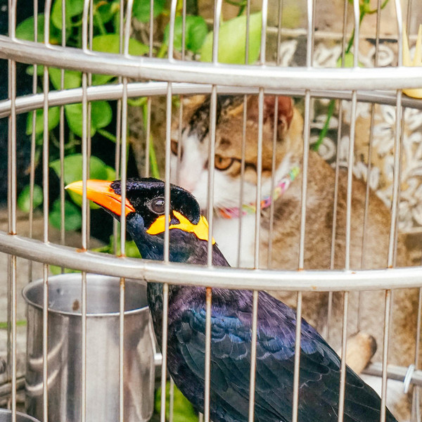 这是一条有气味的街,宝贝如云,还是莞香的起源地