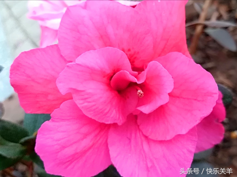 适合朋友圈发的美文短句,适合发朋友圈的美文经典语录