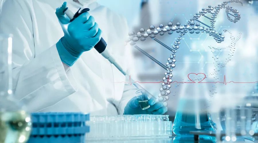 在哈佛大学读博是一种怎样的体验？