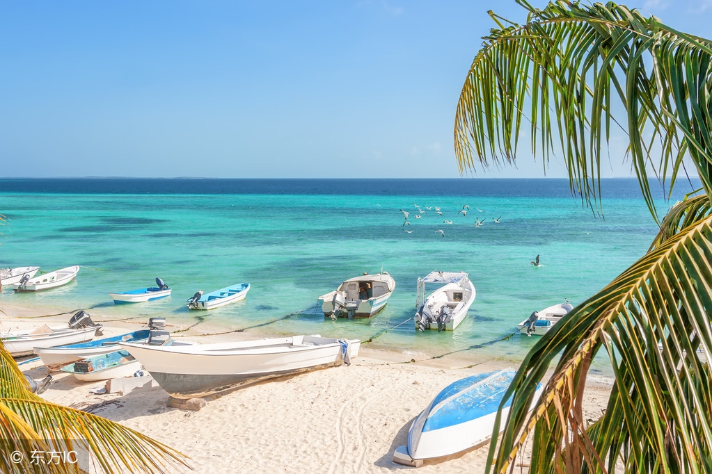 世界各国官方对吃的态度高度一致,都强度了这几点