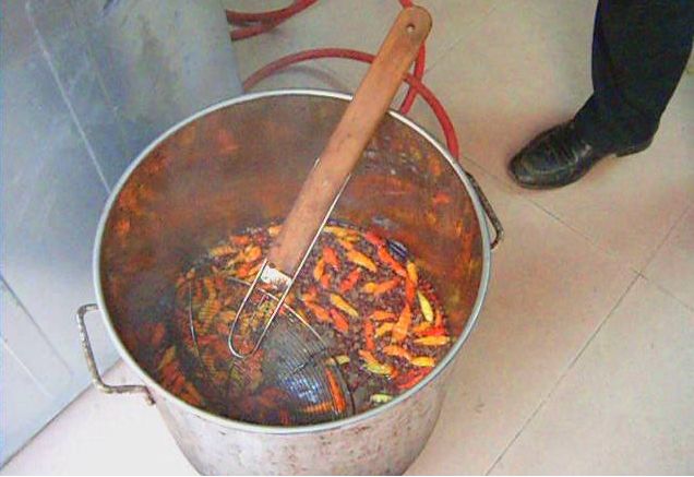 为什么自己做的卤菜没有油,为何你做的卤菜差点味