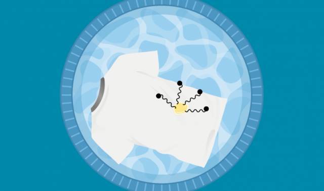 新初三预习：《溶解的热效应及乳化》视频讲解，开学逆袭成黑马！