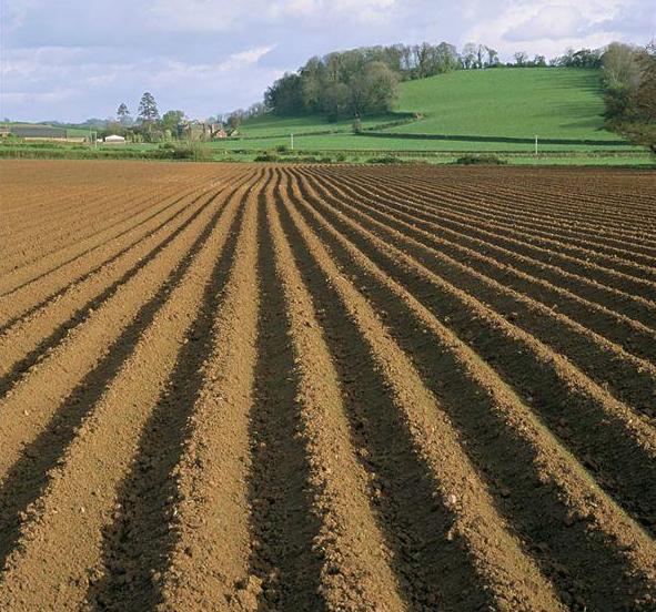 2023农业农村部补贴项目,中央2023年农业农村补贴政策