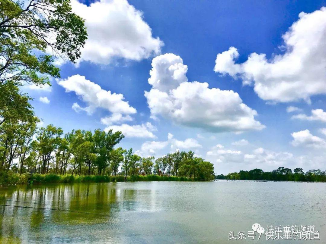 河蟹闹窝怎么钓鱼最好,河蟹闹窝怎么办