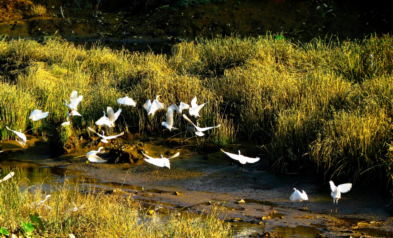 这个“国赛”19日在龙文开幕！今天这场“新闻发布会”你能get到很多信息……