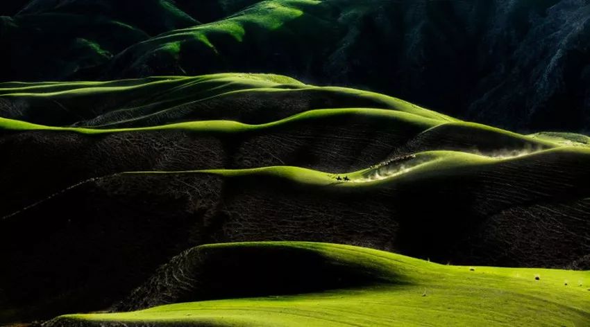 月赛冠军奖励,首届全球华人旅拍大赛