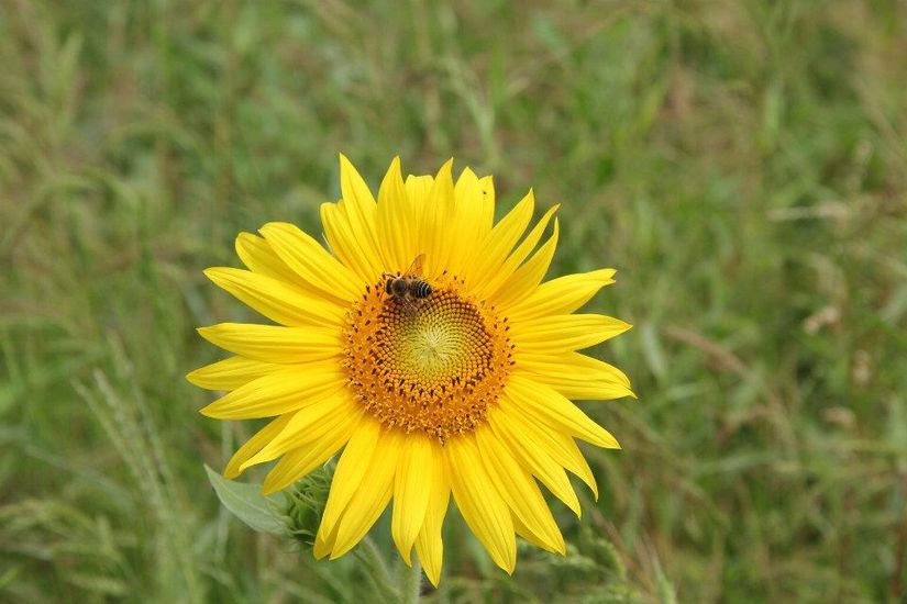 垃圾的烦恼,垃圾带来的烦恼