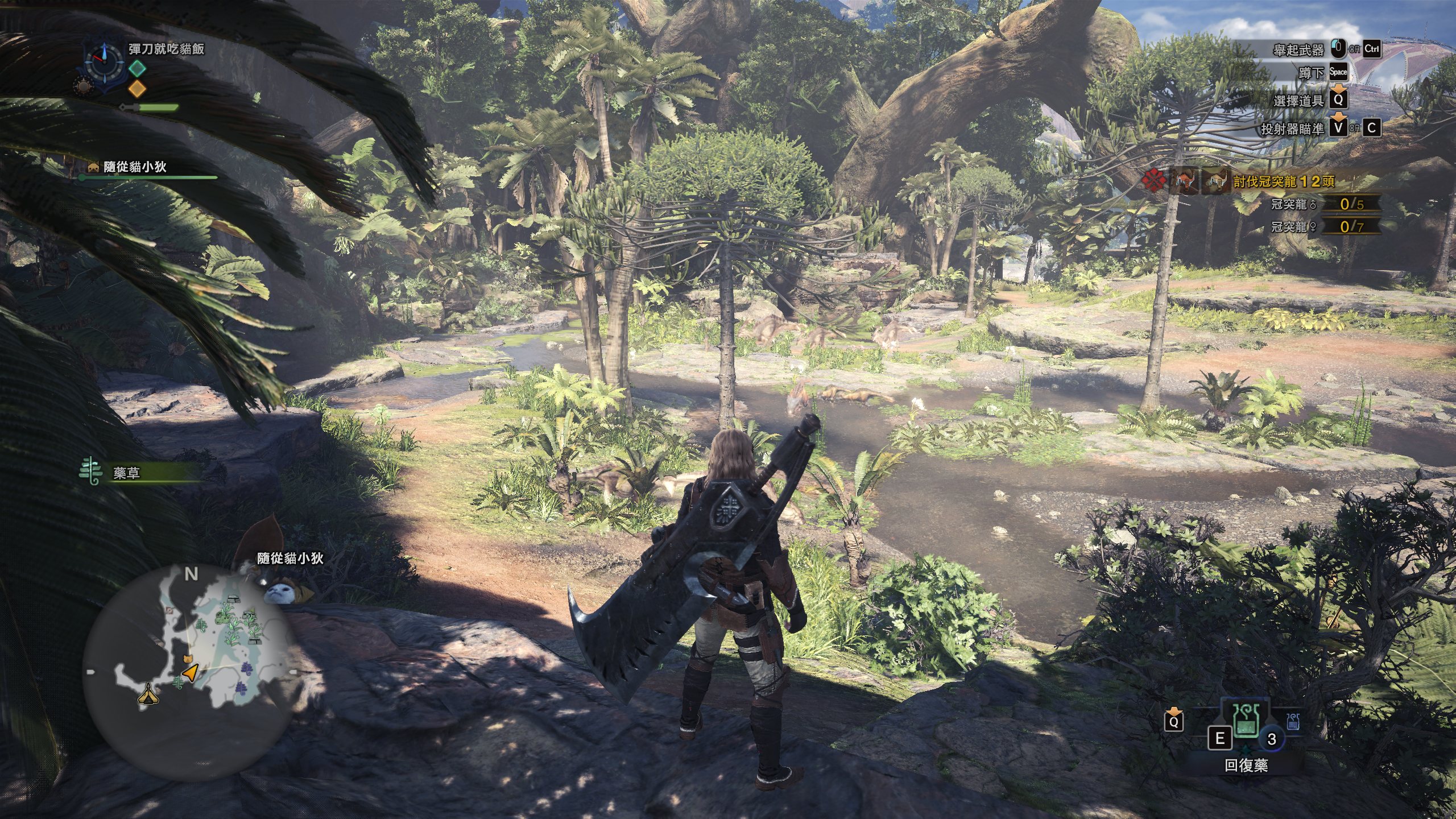 ps4怪物猎人世界冰原开荒装备推荐,怪物猎人曙光switch开荒武器推荐