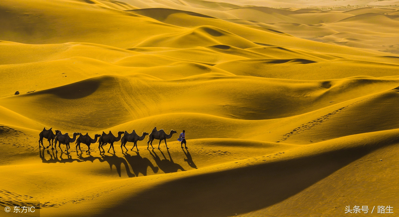 *疆新**此县是全国面积第二大县,汉代曾分属两个风俗完全不同的小国