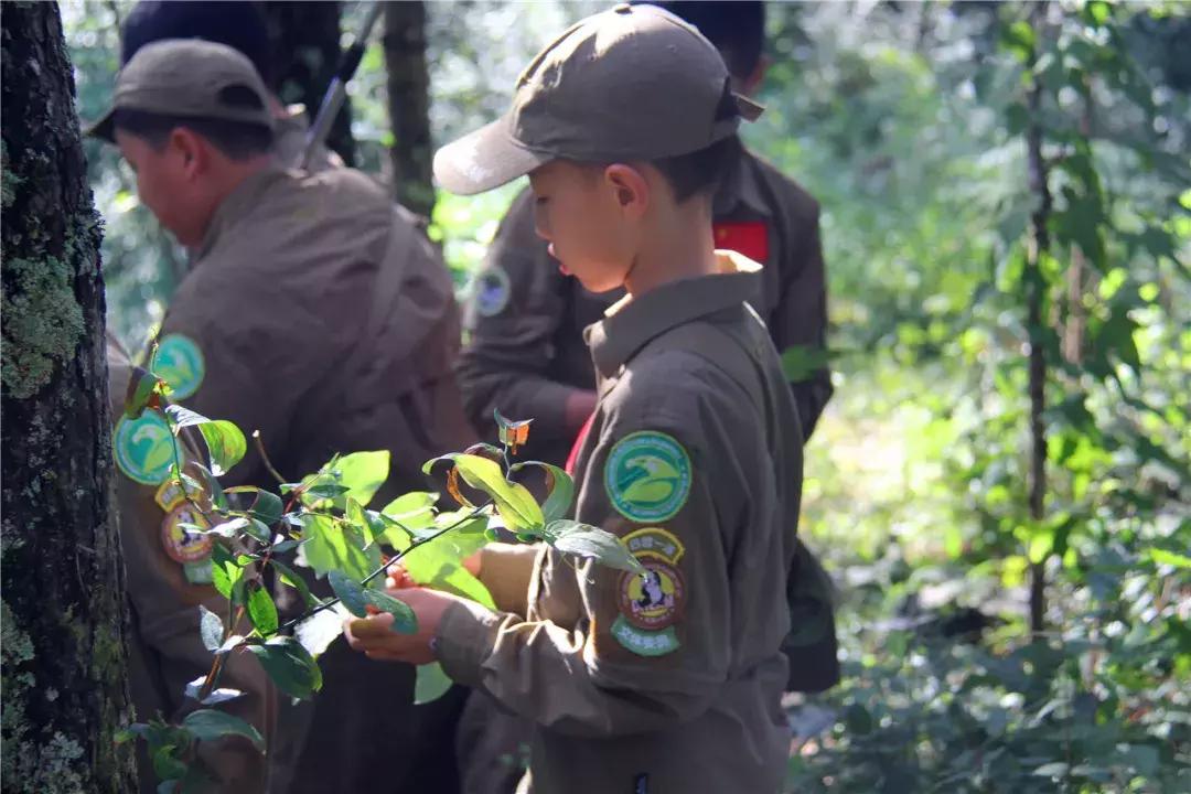 带小孩来田间地头体验生活,带孩子体验一下田间生活