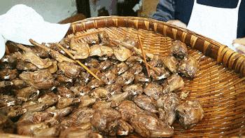 一天卖几千只的兔子,一天卖出1000只鸡