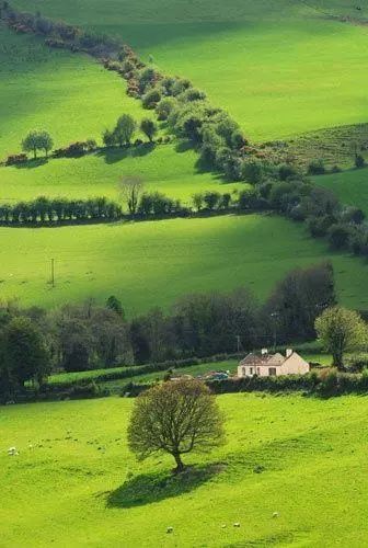 爱ta就带ta去三亚,绿野仙踪三叶草