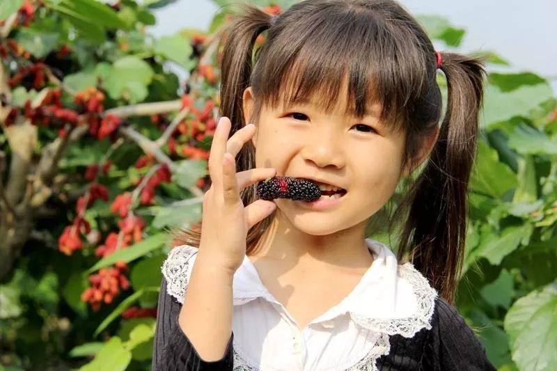 无套路旅游,无套路观看全集