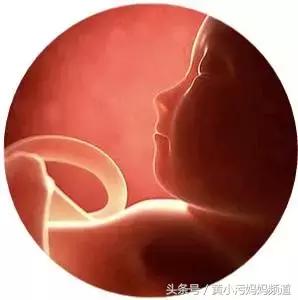 宝宝胎动的时候妈妈如何回应,出现胎动就要检查吗