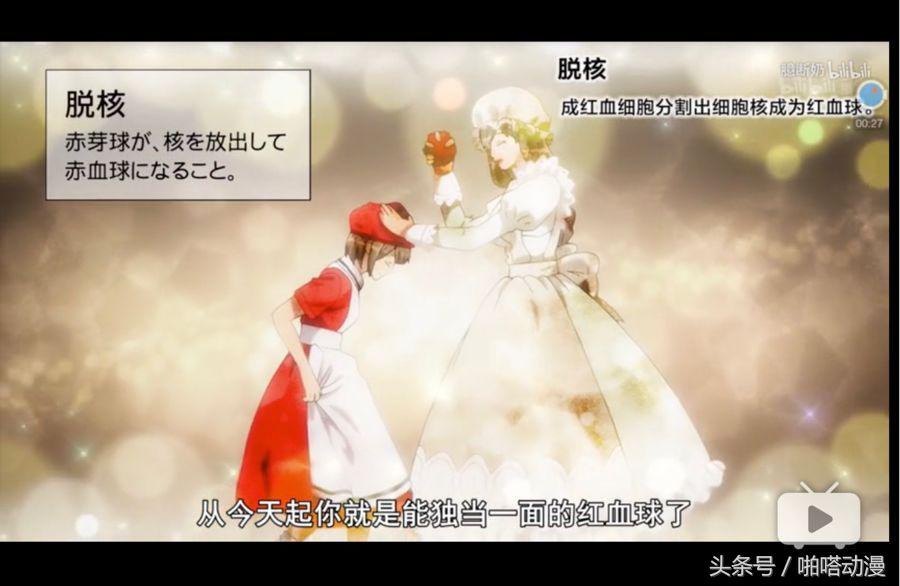 人体细胞每天都在忙啥,人体大约有60亿个细胞