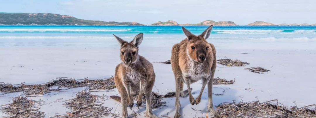 南澳除了美酒美食，还有这些超赞的打卡体验