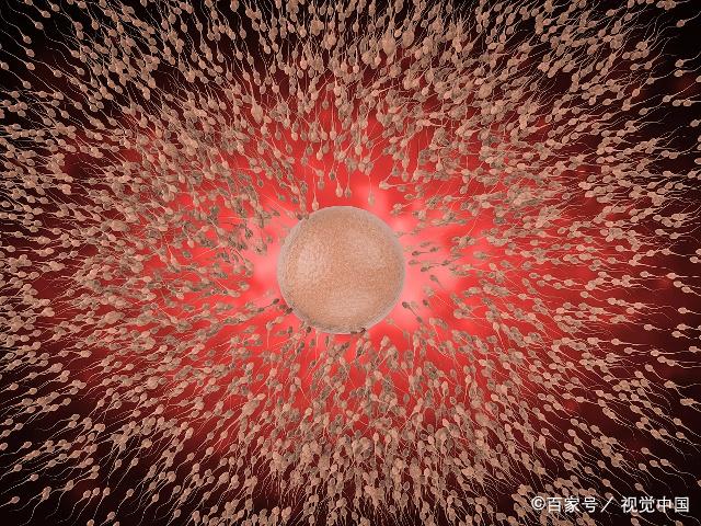 精子都去哪儿了？网友神回复：要善待自己！