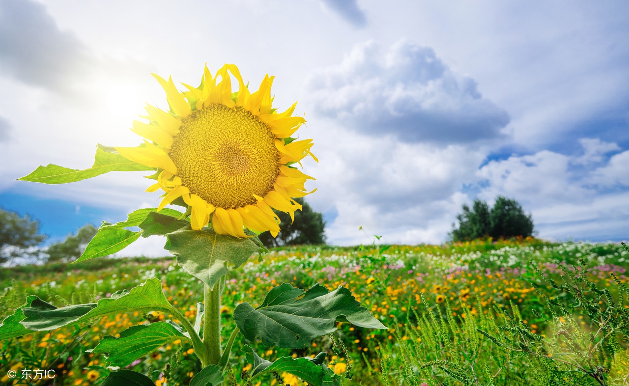 涨知识为孩子收藏,涨知识建议替孩子收藏