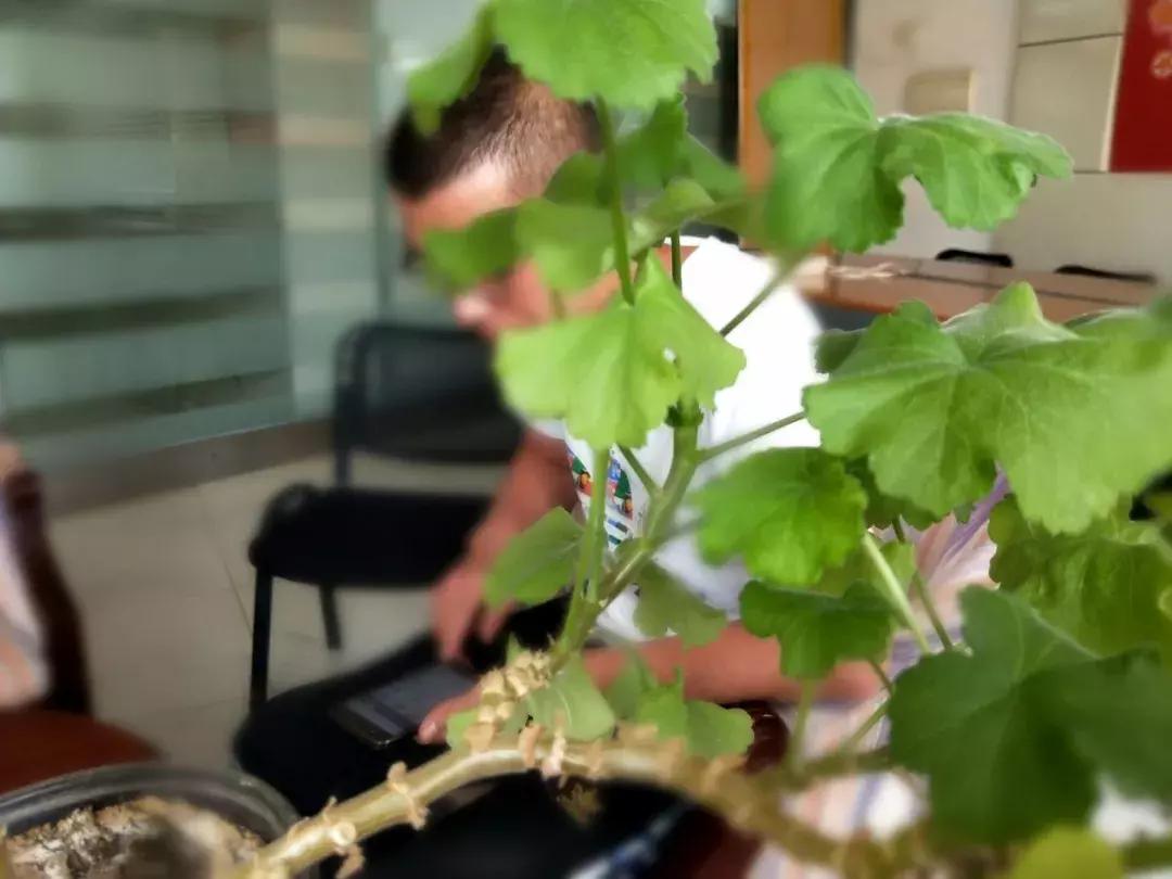 小伙被朋友叫去菲律宾打工,大连小伙在菲律宾求职